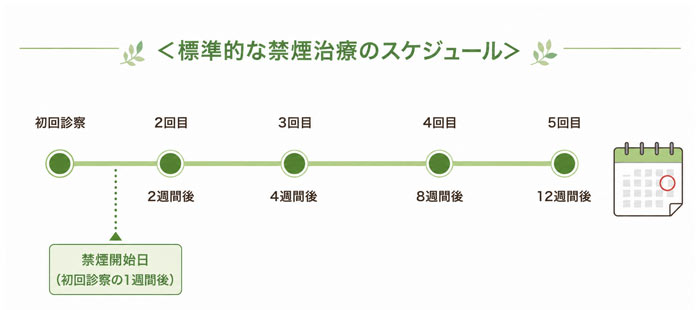 通常12週間で5回程度の通院となります。